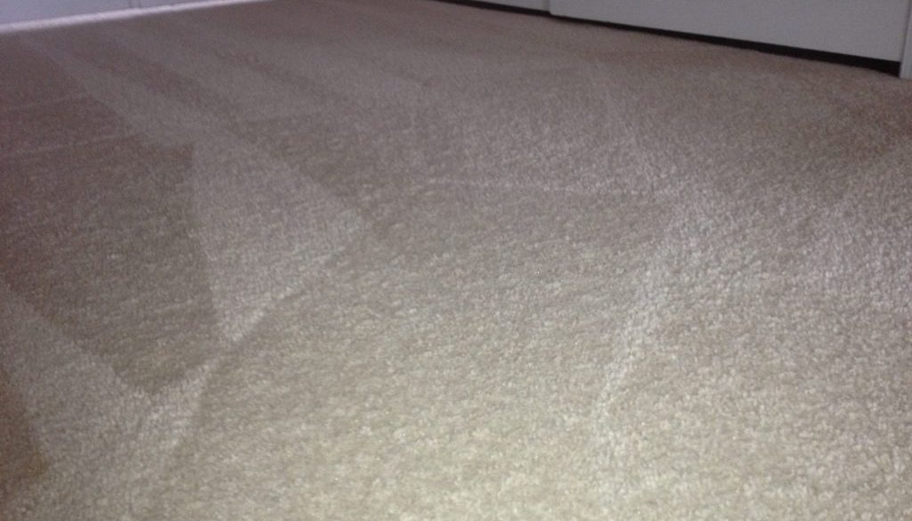 Pet Carpet Treatments VA