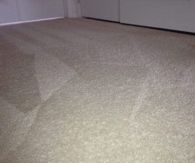 Pet Carpet Treatments VA
