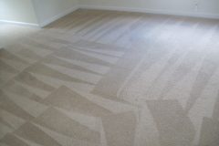 Carpet Cleaning DMV