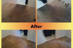 Spotsylvania VA Carpet Cleaning
