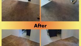 Spotsylvania VA Carpet Cleaning