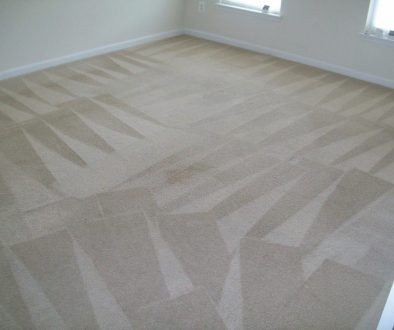 VA Carpet Cleaning