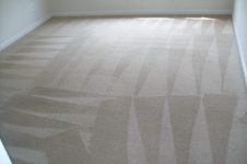 Spotsy VA Carpet Cleaning