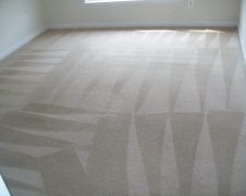 Spotsy VA Carpet Cleaning