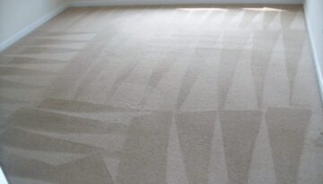 Fredericksburg VA Carpet Clean Spotsy VA Carpet Cleaning