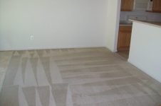 Removals Stains Carpet