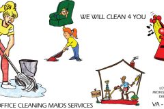 Carpet Cleaning Virginia, Washington D.C., Maryland