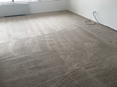 Steam Carpet Cleaning Alexandria VA Before After Pics Video