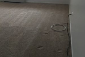 Apartment Carpet Cleaning - Cleaned After Alexandria VA 2