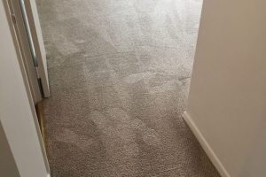 Apartment Carpet Cleaning - Cleaned After Alexandria VA 8