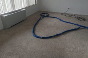 Apartment Carpet Cleaning - Dirty Before Alexandria VA 2