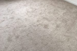 Apartment Carpet Cleaning - Dirty Before Alexandria VA 9