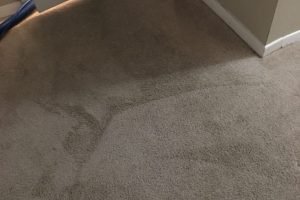 Closet Room Cleaned Carpet Cleaned VA 1