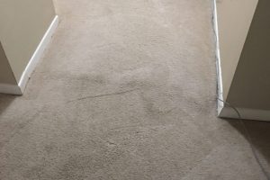 Closet Room Cleaned Carpet Cleaned VA