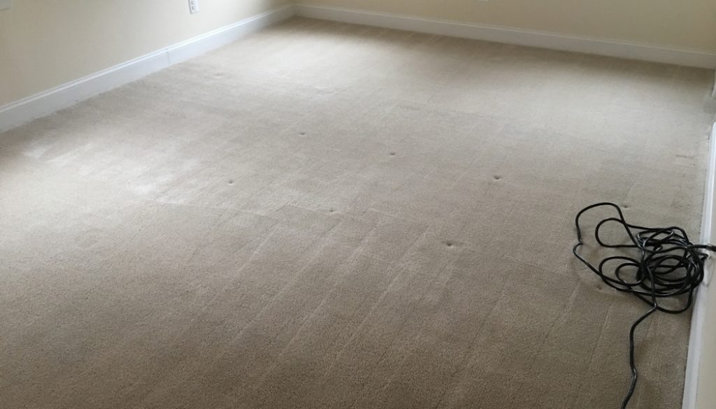 Virginia Carpet Cleaning Services