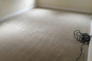 Virginia Carpet Cleaning Services