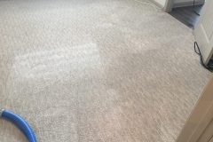 Carpet Cleaners Near Me