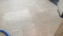 Carpet Cleaners Near Me