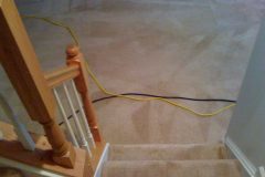 Best Reviews Carpet Cleaning