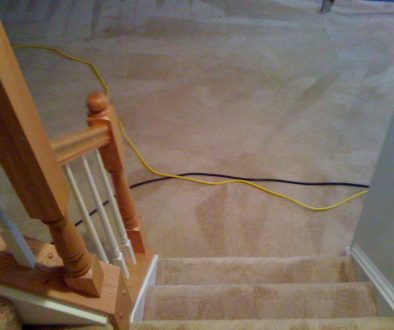 DMV Carpet Clean Culpeper VA Best Reviews Carpet Cleaning