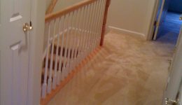 Stafford VA Carpet Cleaners