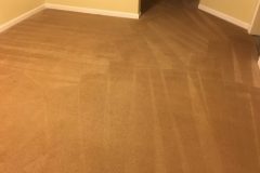 Carpet Cleaning Fredericksburg Virginia