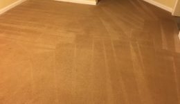 Carpet Cleaning Fredericksburg Virginia