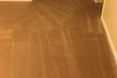 Woodbridge VA Carpet Cleaning