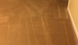 Woodbridge VA Carpet Cleaning