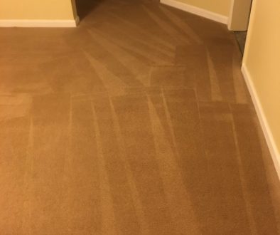 Woodbridge VA Carpet Cleaning