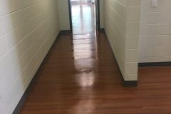 Spring Clean Carpet