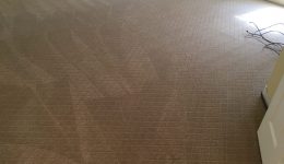 Haymarket VA Carpet Cleaning