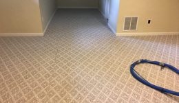 Spotsylvania VA Carpet Cleaning