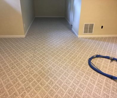 Spotsylvania VA Carpet Cleaning