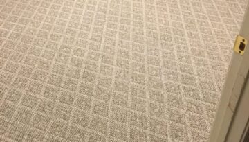 Best Carpet Cleaners Carpet Cleaning Near Me