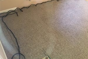 VA NOVA Carpet Cleaning