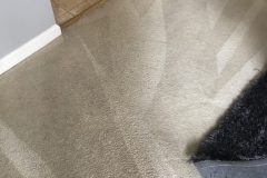 Carpet Cleaning Virginia