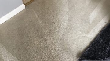 Carpet Cleaning Virginia