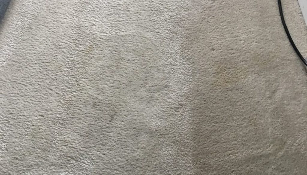 Carpet Cleaning Spotsylvania