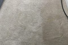 Carpet Cleaning Spotsylvania