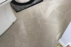 NOVA Carpet Cleaning