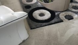 Steam Carpet Cleaning DMV