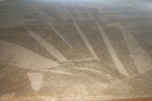 Carpet Cleaning Fredericksburg VA (3)