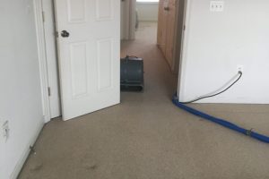 Carpet Cleaning Fredericksburg VA (5)