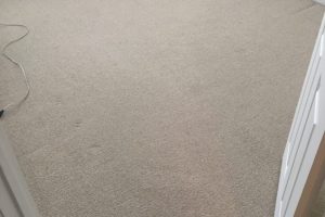 Carpet Cleaning Fredericksburg VA (8)