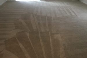 Carpet Cleaning Fredericksburg VA (9)
