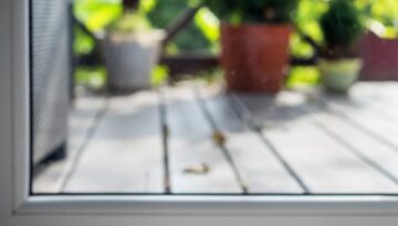 Tapetes Limpiamos Limpiesas De Alfombras