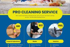 Maid Cleaning Services
